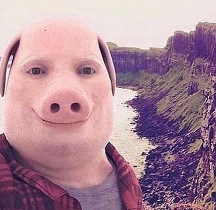 Gingey ❁ tweet media