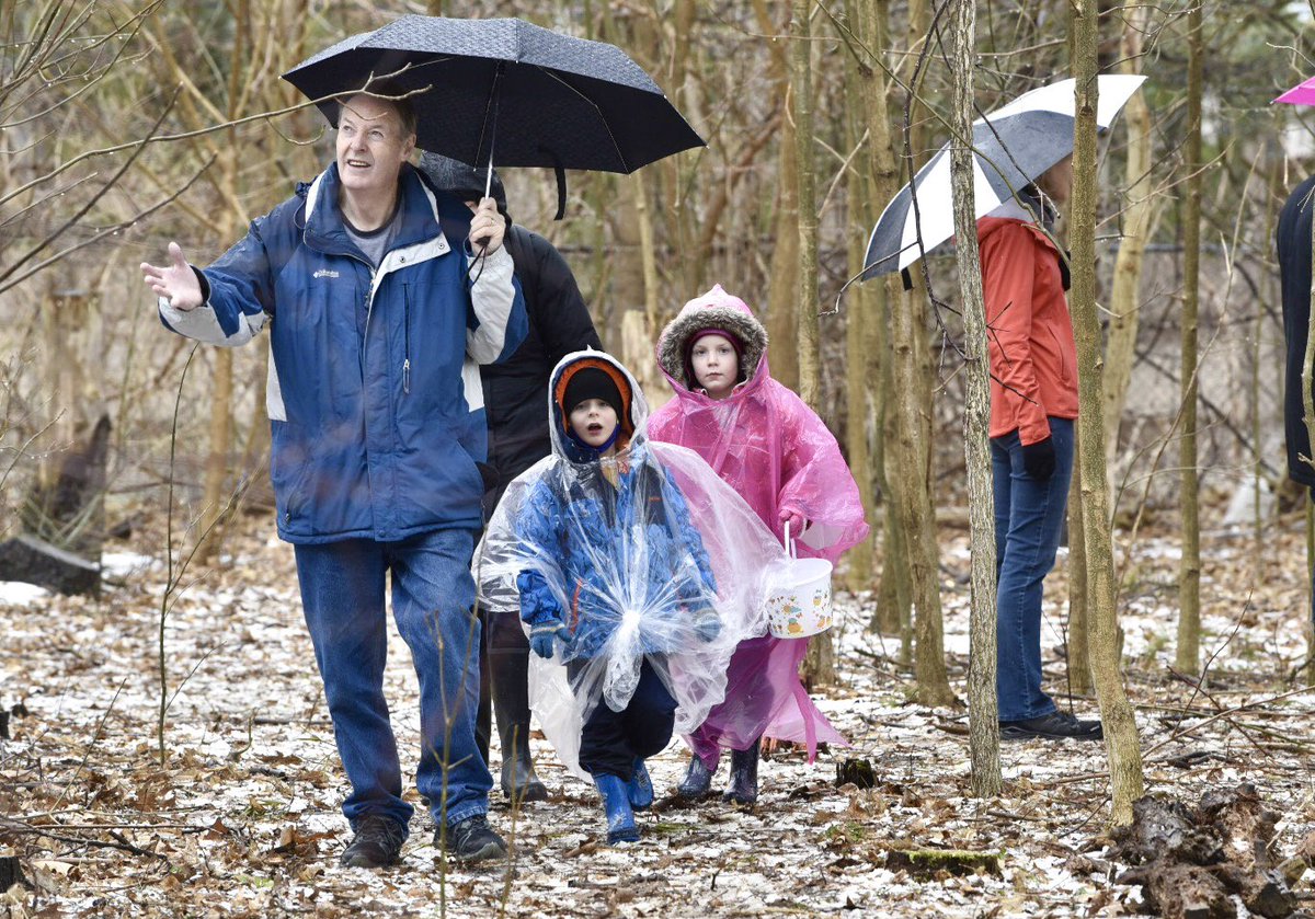 Graham Paine tweet media