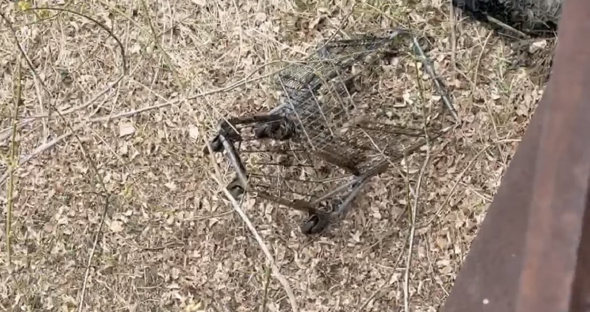 KeyClubDuchesne's tweet photo. Some of our findings while helping out with Mission: Clean Stream! https://t.co/hV2BebwBYM