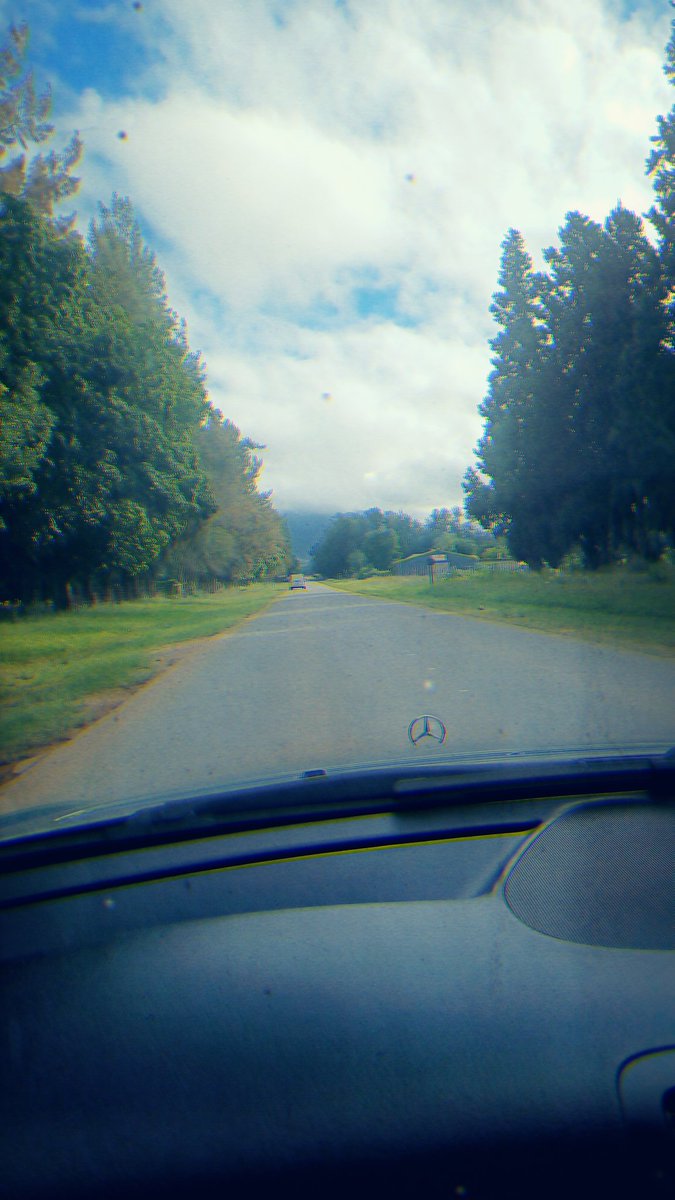 BrendaWardle's tweet photo. Was forced in preparation, to visit the Sundays River Valley whilst prepping 3 people in PE. What a hectic week it's been. Today was special with #ThembaQupe taking a detour via the #AddoNationalPark prior to my flight. https://t.co/fCAu1Q89E6