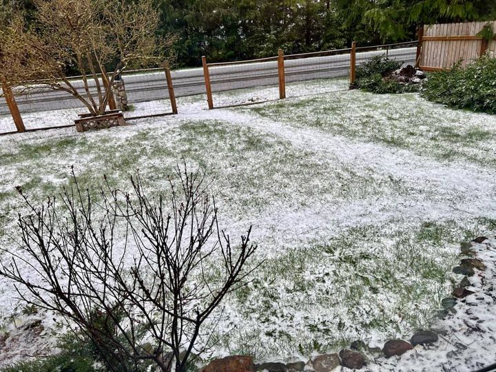 RandySmall's tweet photo. Hail on Kendall Rd via Deborah Martin! #WhatcomCounty #MapleFalls #wawx @NWSSeattle https://t.co/sN2bjD1TZP
