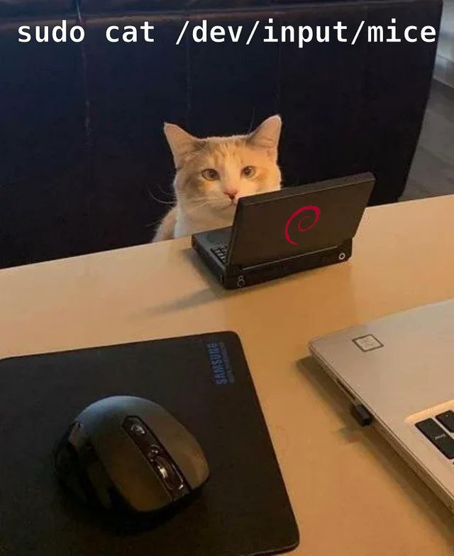 nixcraft's tweet photo. Caturday meme for Linux users :P https://t.co/7aPNNgwCaM https://t.co/brPFunqzcQ