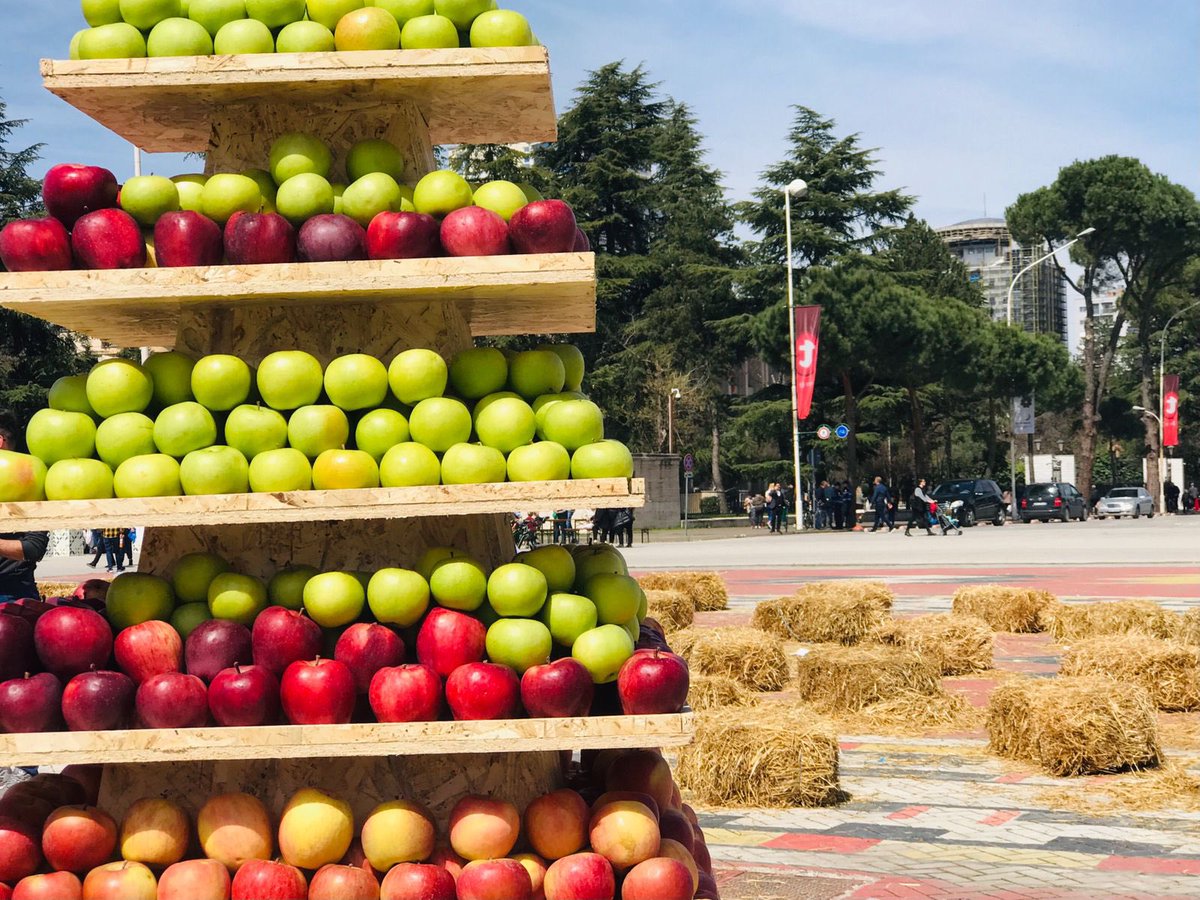 ArlindaBinjaku's tweet photo. #Tiranasot Qyteti i Rinisë, ju mirëpret të jeni pjesë e çdo aktiviteti që zhvillohet në 🤩👩‍👩‍👧‍👦 Tiranën tonë të bukur.💙🤍 #EjaniDheBashkohuniMeNe #ShqipëriaQëDuamJuFtonTëJeniGjithmonëDheKudoPjesëmarrës #TiranaYouthCapital2022 https://t.co/IgHgKkVu7P