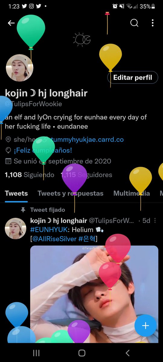 TulipsForWookie's tweet photo. Miren que bonitos globos, hoy hace unos cuantos años nací yo gracias al amor de mis padres 🥳 https://t.co/zoK6Lj5Dmr