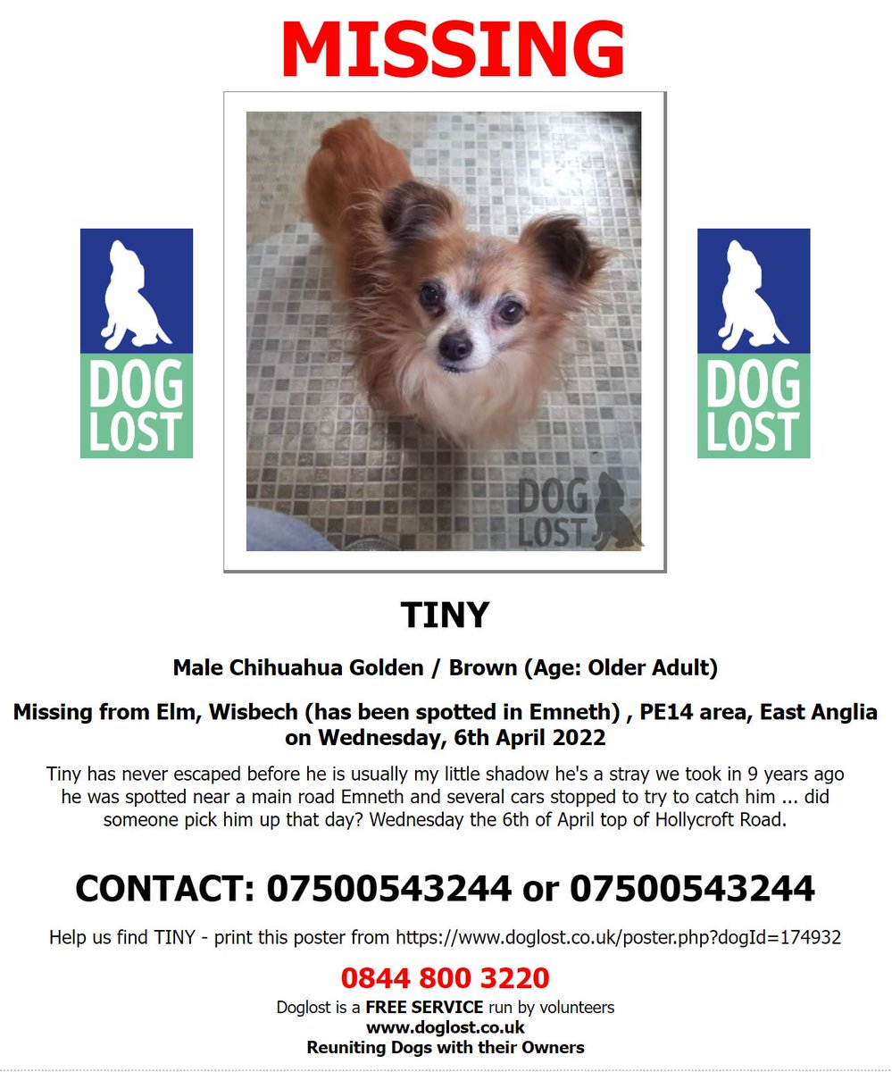 DogLost Norfolk Suffolk & Cambridgeshire tweet media