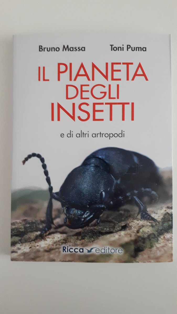 bologna_g's tweet photo. #oneplanetschool #noisiamonatura bellissimo volume di #brunomassa grande naturalista, con spettacolari foto di #tonipuma un libro che dovrebbero leggere tutti per conoscere meglio lo straordinario mondo degli insetti e in genere degli artropodi @WWFitalia @ASviSItalia https://t.co/TZZsQTXUDx
