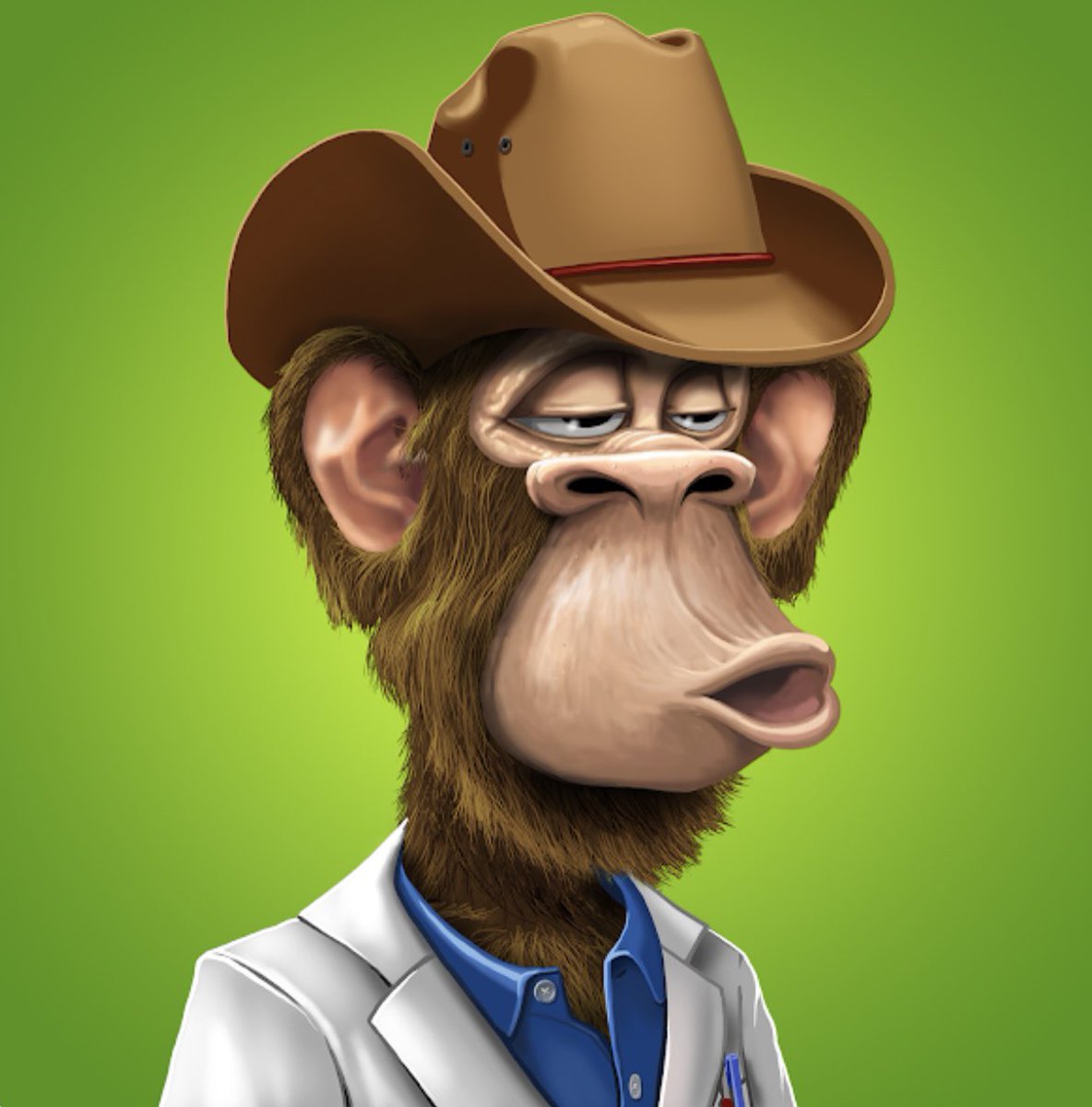 GoldChainCowboi's tweet image. Welcome to the fam. Just missing a gold chain 😏🤝 @GrandpaApes big things comin