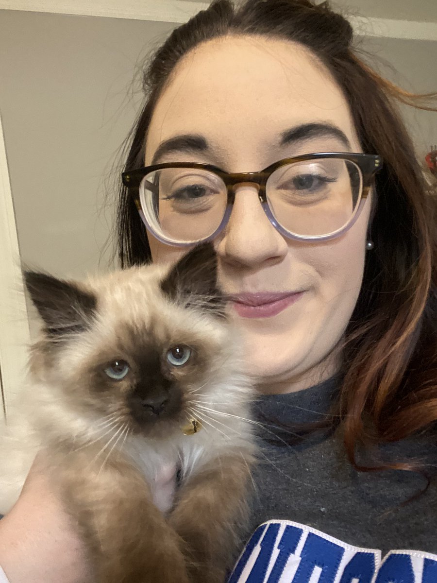 justplainpiper's tweet photo. Tell me this ain’t the cutest kitten. I dare you. https://t.co/n9y4X5QubL