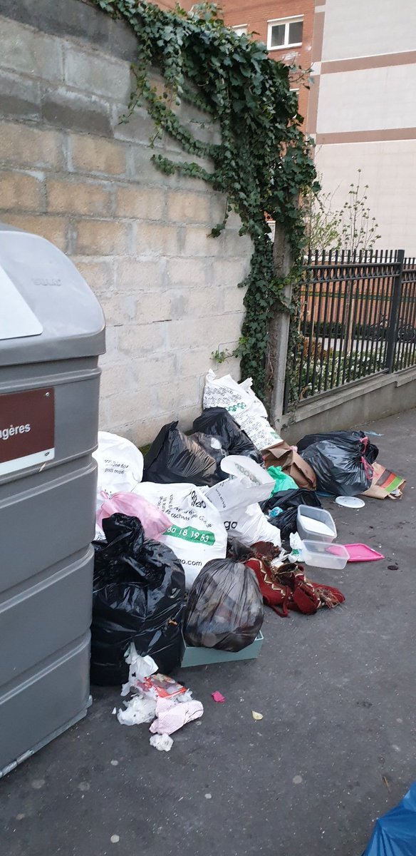 CAbandonnee's tweet photo. Comment le maire #eelv de #Colombes peut il parler de DIGNITE quand on va planter des orangers en Tunisie et laisser pousser des canapés et des sacs poubelle dans sa propre ville ?
#shamovitcherie #escrolo
#saccageColombes #Colombescrade
#Colombescrasse https://t.co/ermvchWMqb
