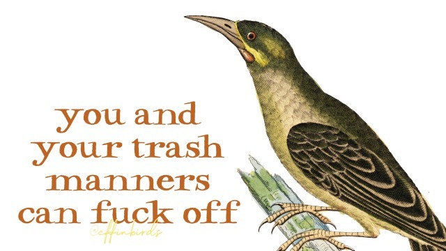EffinBirds's tweet photo. https://t.co/Fx4HtP52nB
