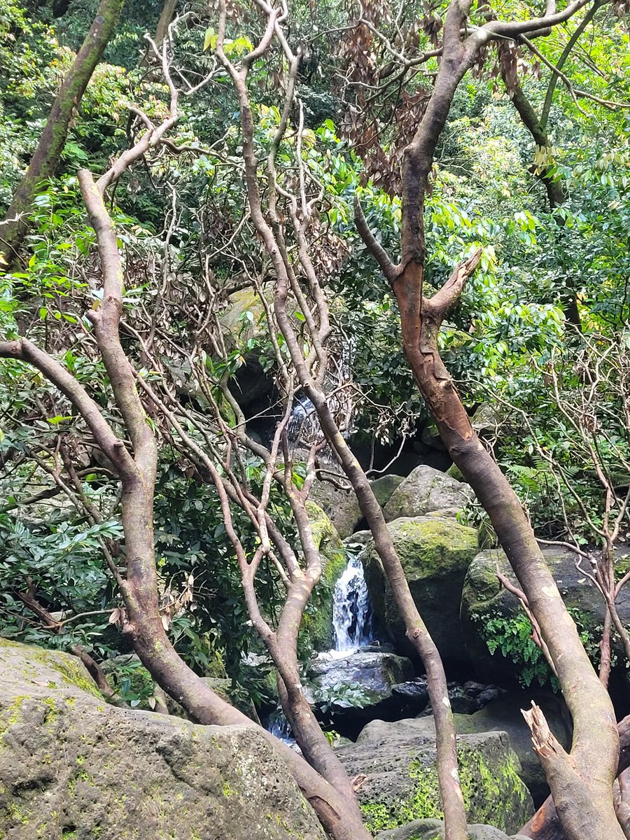 JeffSolheim's tweet photo. @PlanetZooGame Self care for me is a great hike in nature then chilling with some video games like PZ https://t.co/Bt2ciG7lde
