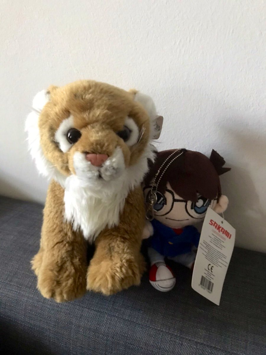 Melanie 🐯 tweet media