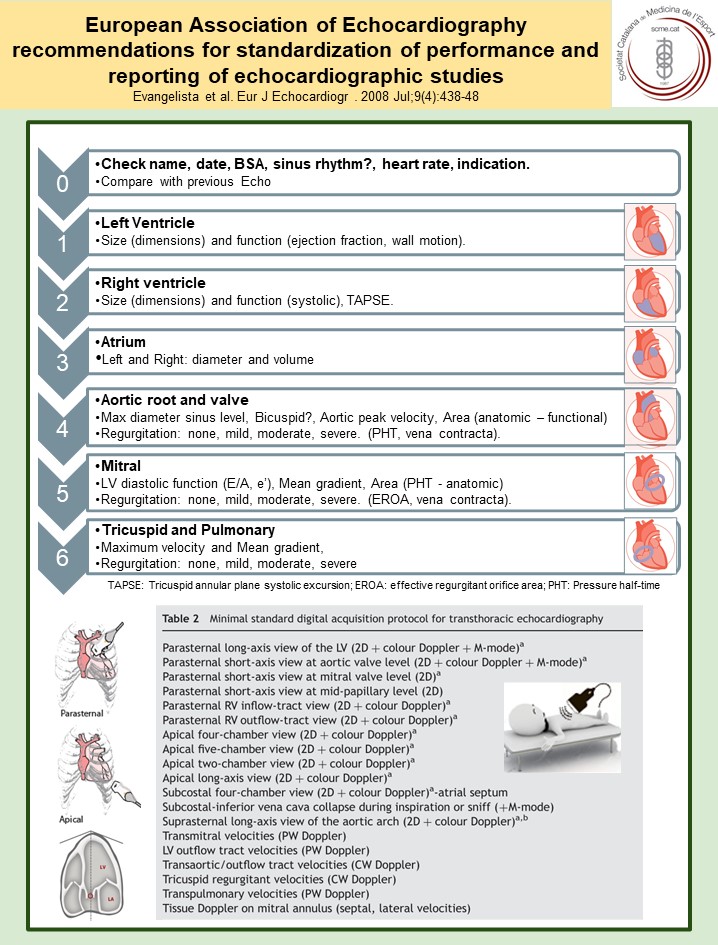 SC Medicina de l’Esport tweet media
