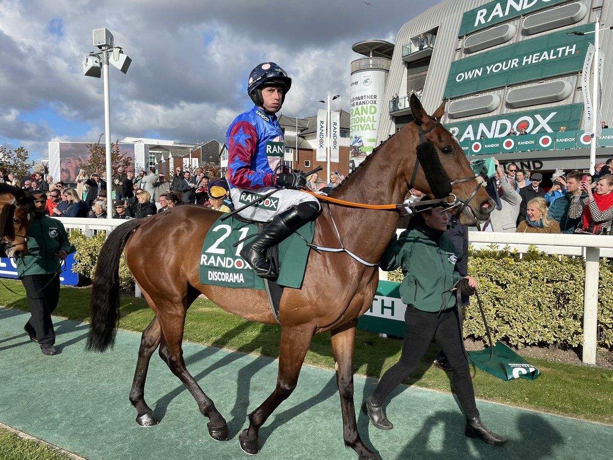 nolan_racing's tweet photo. We are heartbroken to have lost Discorama today at Aintree. Bryan pulled him up due to injury. Our condolences to his owners Andrew Gemmell &amp; Tom Friel. https://t.co/Mp2xrlmByA
