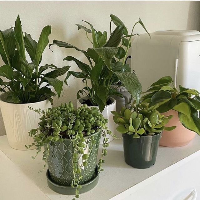 i look good in green