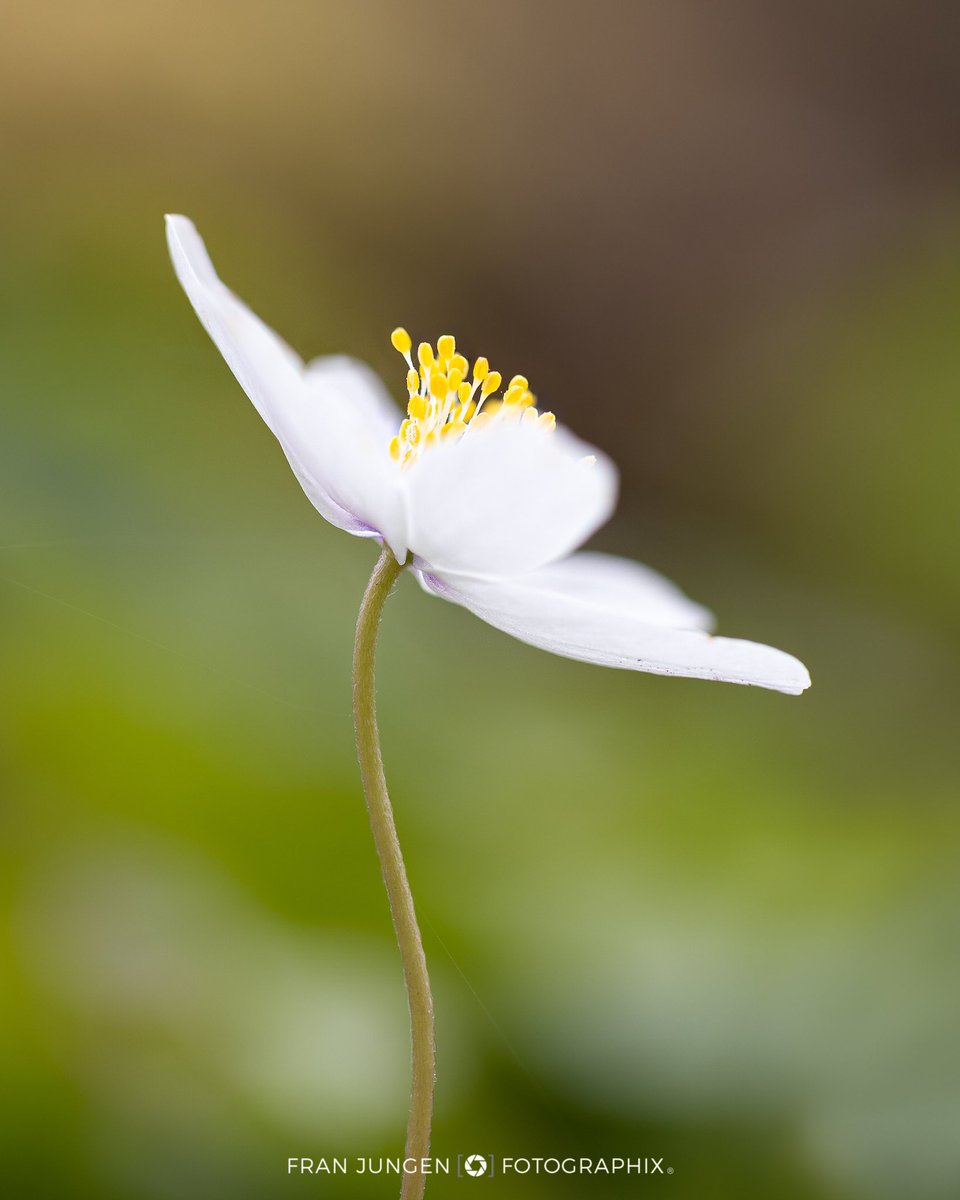 fotographix tweet media