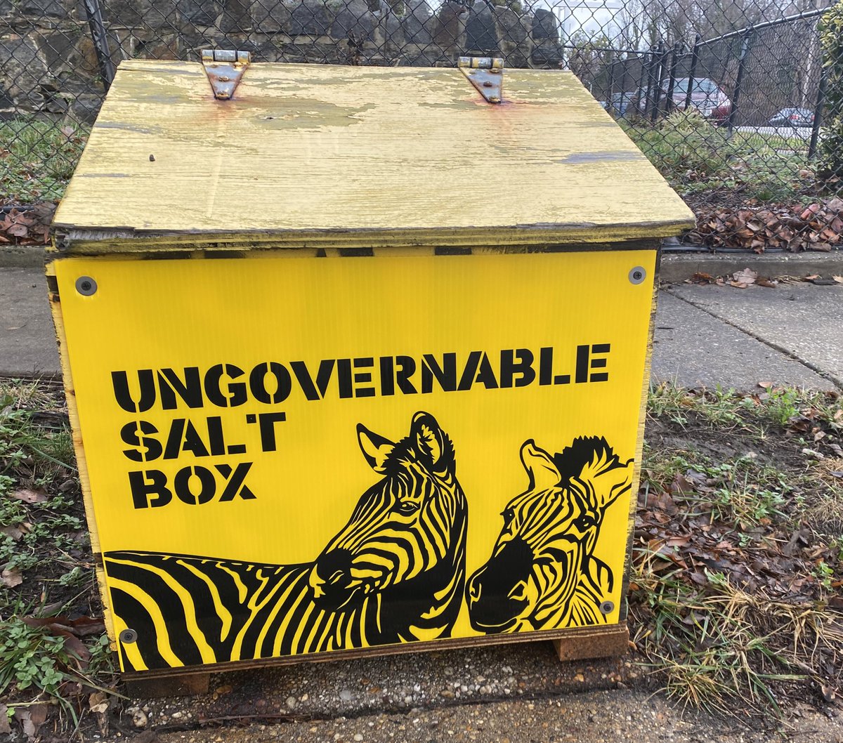 thebrokenplate's tweet image. A salt box for everything.