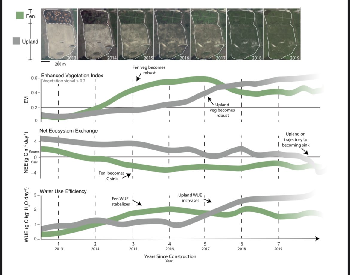 Ever wonder what happens when you try to build #boreal landscapes from scratch? 

Excited to share our latest article highlighting #plant,  #carbon and #water dynamics following #reclamation! 

<a href="/UW_Hydromet/">Richard Petrone</a> 
@PeatlandECR <a href="/GWF_pubs/">Global Water Futures Publications</a> 

sciencedirect.com/science/articl…