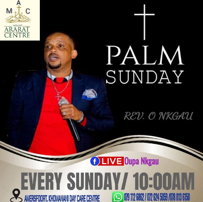 malume07's tweet photo. #Mt_Arara_Centre sekunjalo
🐴Palm Sunday https://t.co/B7us13bsu4