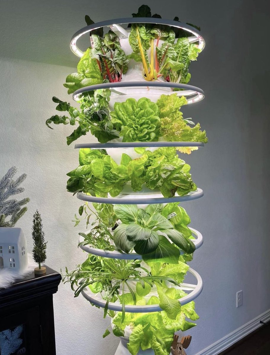 pocohh3's tweet photo. hydroponic indoor gardens &amp; DIY terrarium/greenhouse cabinets >>> https://t.co/gCEtXMNieQ