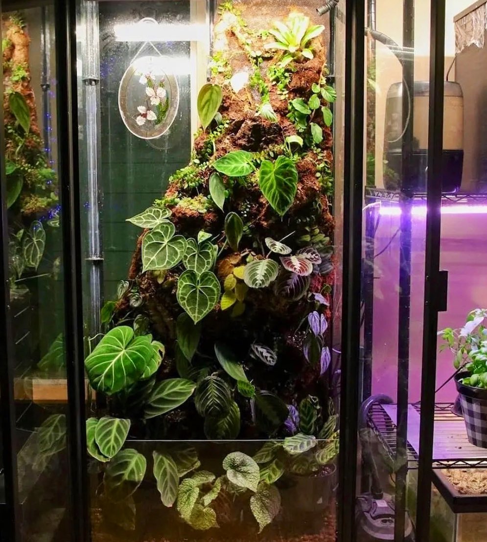 hydroponic indoor gardens &amp; DIY terrarium/greenhouse cabinets >>>