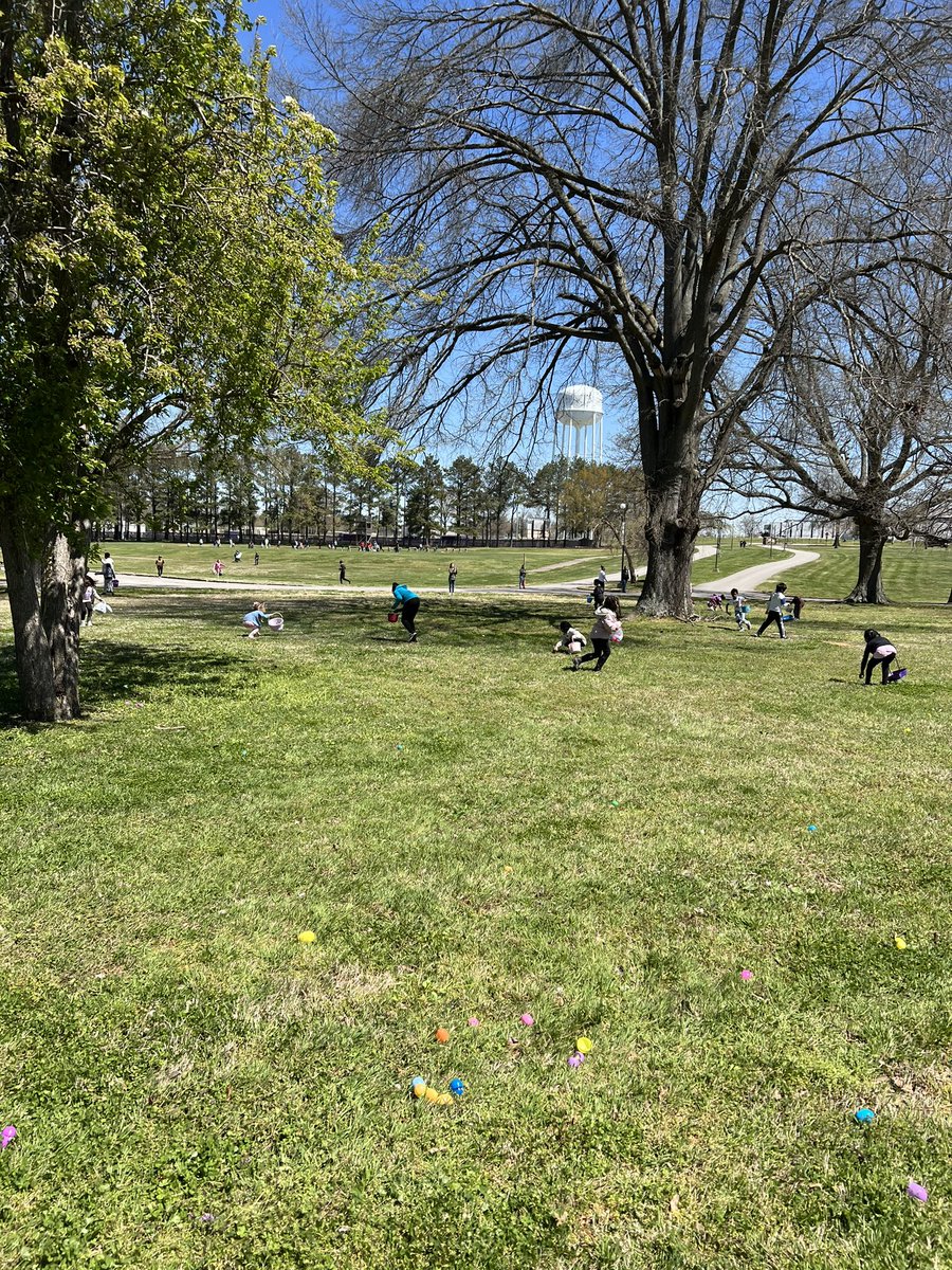 Lynn Doles tweet media