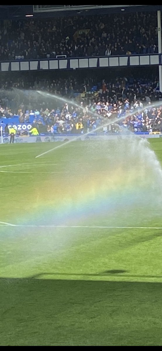 ⁦<a href="/Everton/">Everton</a>⁩ ⁦<a href="/LivEchoEFC/">Everton FC News</a>⁩ ⁦<a href="/ToffeesNews/">Everton News</a>⁩ 
Rainbow toffees