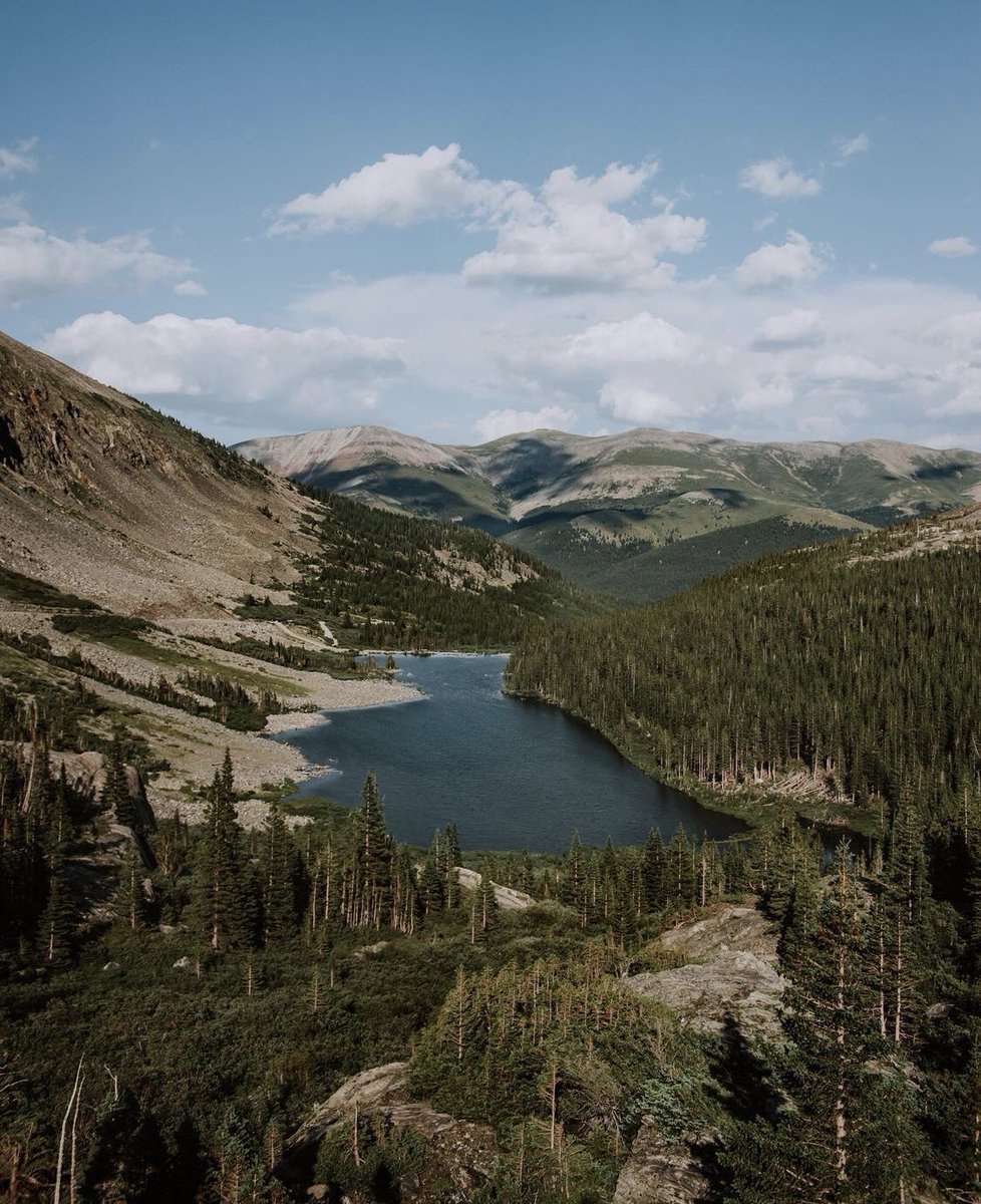 MollyHolmberg's tweet photo. @MoodyOwlNFT High in the Colorado mountains #NFTs #NFTCommumity https://t.co/8WajfaYUgW