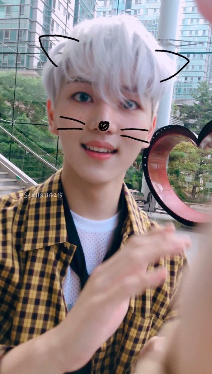 hourlyhyunggu's tweet photo. ♡ #키노 / #펜타곤 https://t.co/rRoTqeCc4f