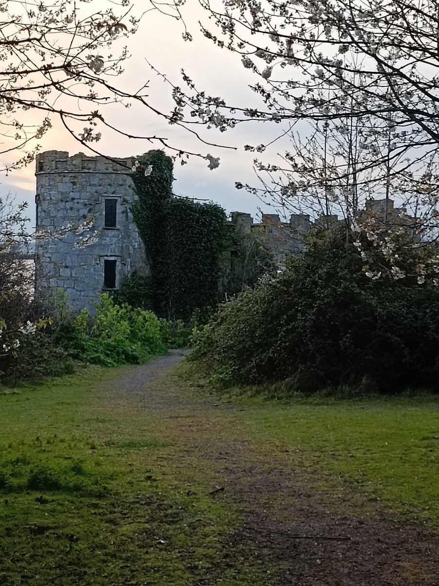 Masonbrook's tweet photo. Cannot believe it's Day 99 #100daysofwalking2022 #round2crew @NTBreakfast super evening for a walk but cold https://t.co/QupvfsQtf7