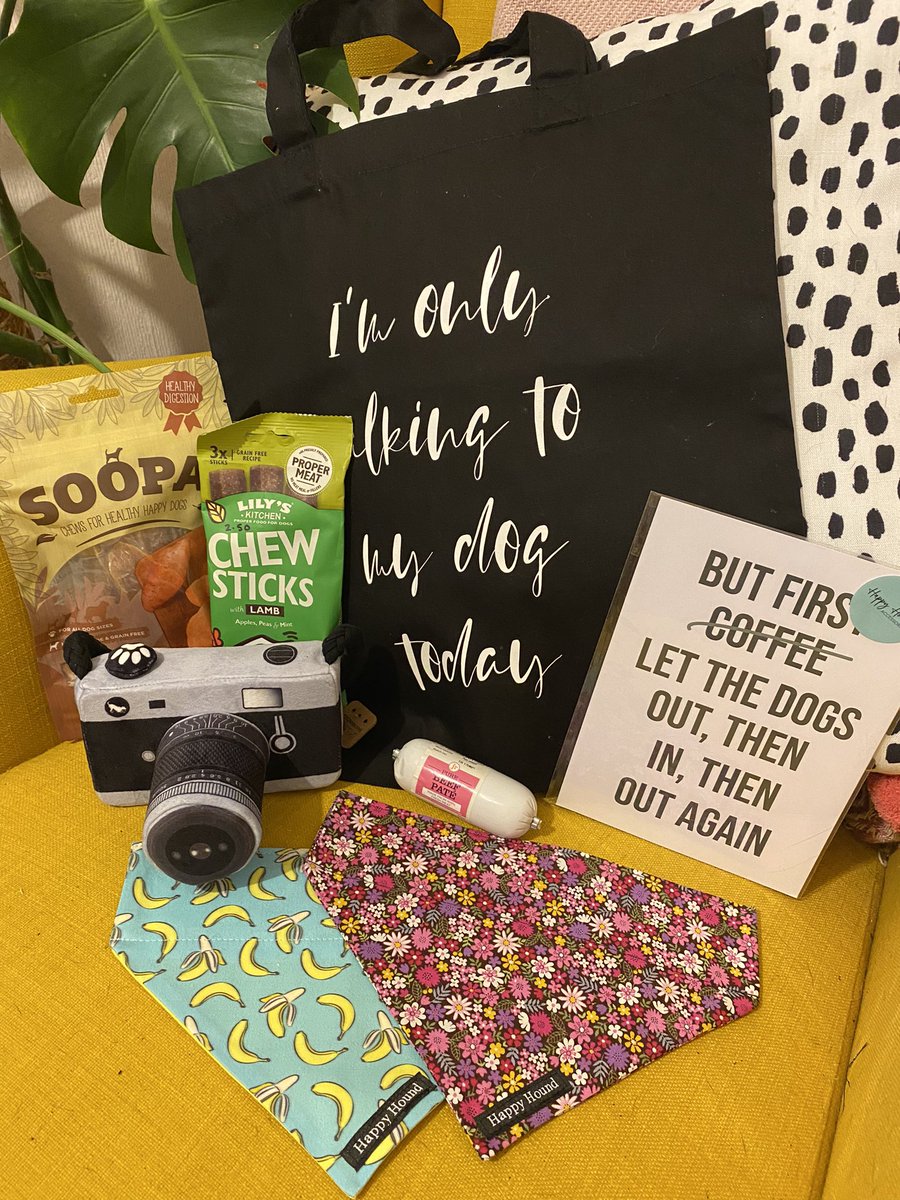 Want to win some goodies for you and your dog? Head over to Instagram.com/ladyandthescam… to enter! 🐾💖