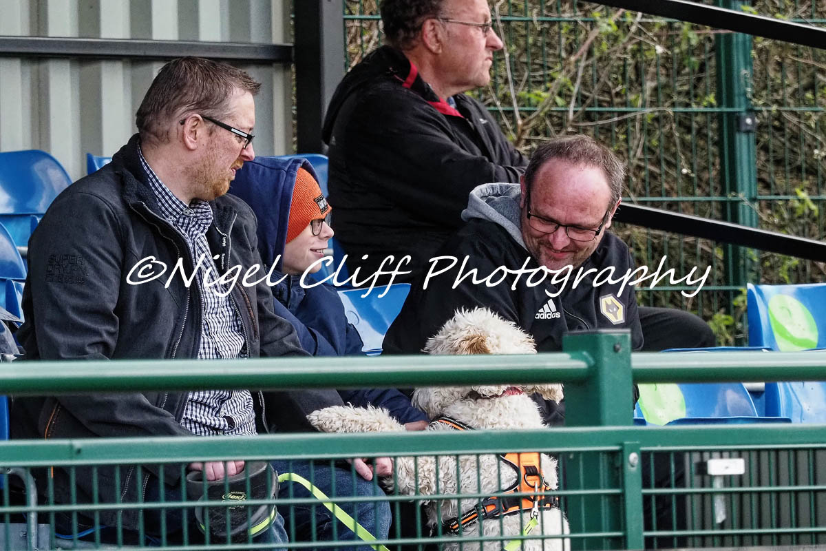 Cliffyboy13's tweet photo. It was @nonleaguedogs central at Lichfield City today https://t.co/RucX9X2CMt