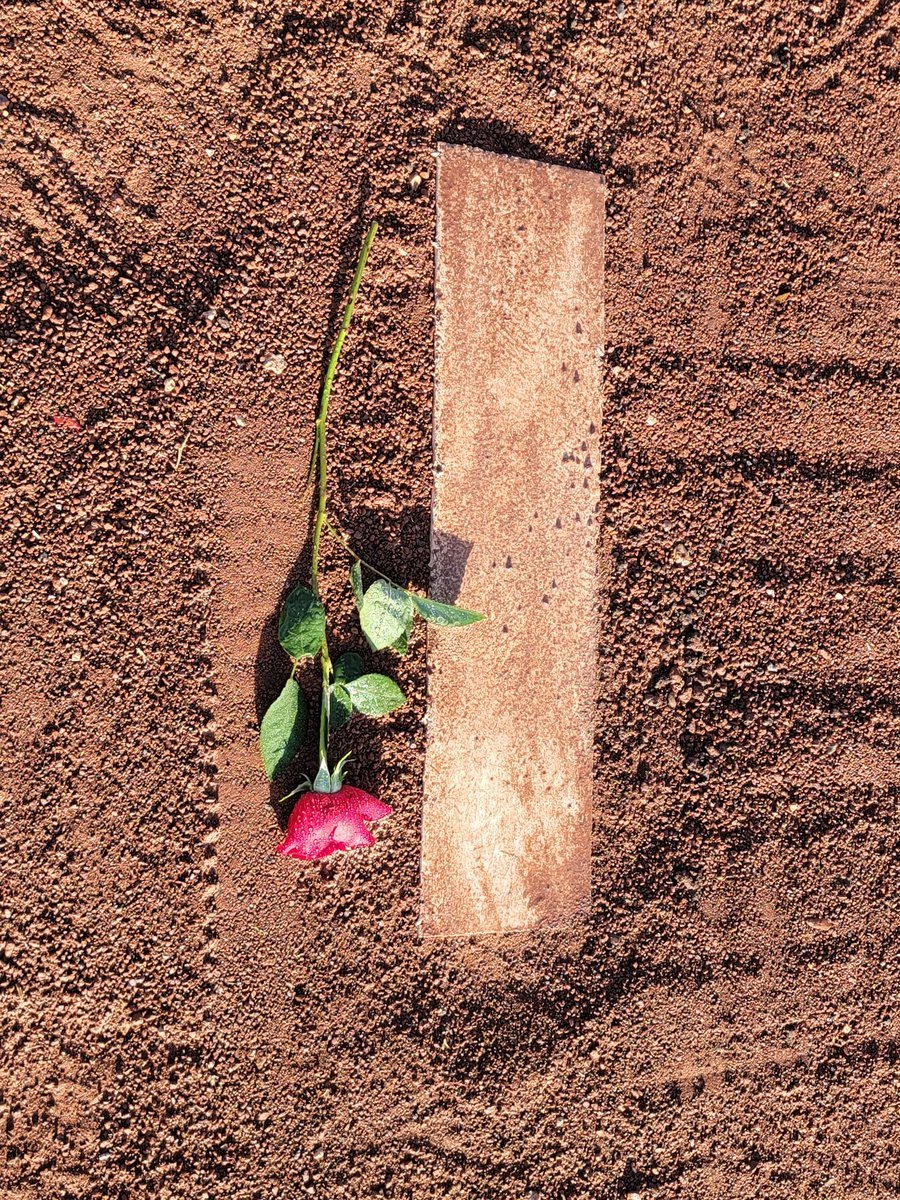 Adrian Telas (@a_telas) on Twitter photo On behalf of the El Dorado Softball program, we offer our condolences to the Solis Family. Mrs. Solis was very passionate about softball & was <a href="/vsolis09/">vanessa solis;*</a> #1 fan. Thank you for the gourmet cupcakes you would bake for us after our games! We will forever cherish those memories♥️ 🧁! On behalf of the El Dorado Softball program, we offer our condolences to the Solis Family. Mrs. Solis was very passionate about softball & was <a href="/vsolis09/">vanessa solis;*</a> #1 fan. Thank you for the gourmet cupcakes you would bake for us after our games! We will forever cherish those memories♥️ 🧁!