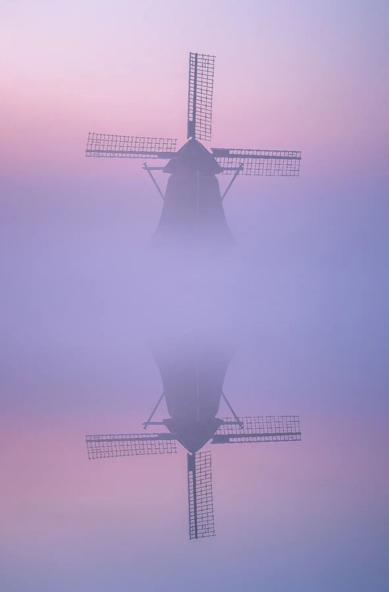 Mooie zondag! Liefs, #TeamPositief

📸 Arjan Sijtsma #Goedemorgen