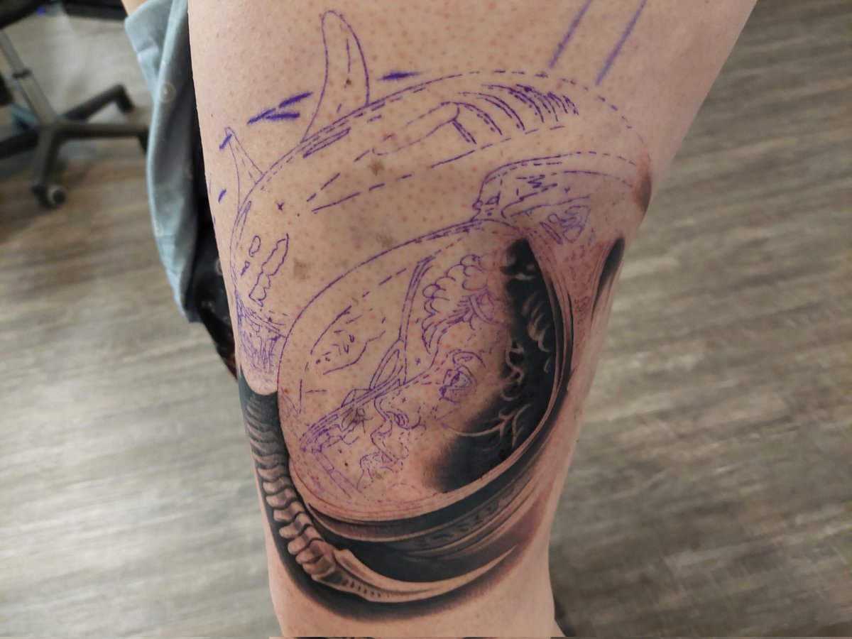 Mandarb84's tweet image. Coming along nicely 👌 😎 #hurtslikeabitch