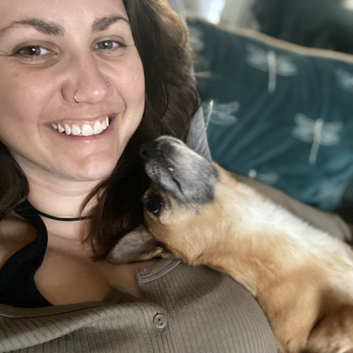 Potato_Defiance's tweet photo. Can someone love me as much as this pup loves me please and thank you https://t.co/1Ym6WoE5JM
