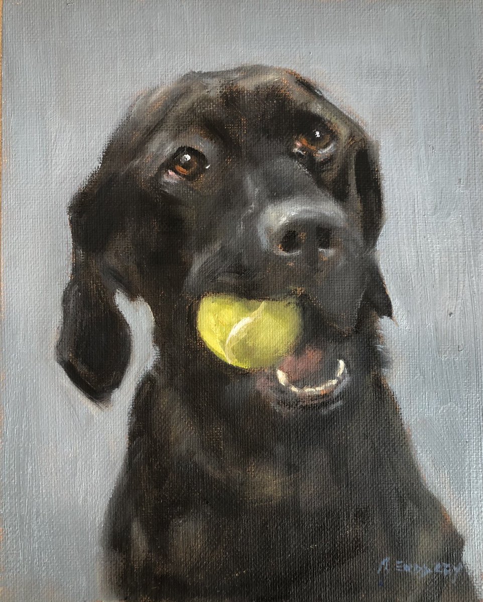 BeverlyEndsley's tweet photo. I love commissions! If I’m not going to get to hike around in the Antarctic all day, what could be better than creating a portrait of this beautiful girl. Thank you so very much for giving me the opportunity to paint beautiful Olive 
#animalportrait #Waow #Ais #petportraits https://t.co/enmexsodh4