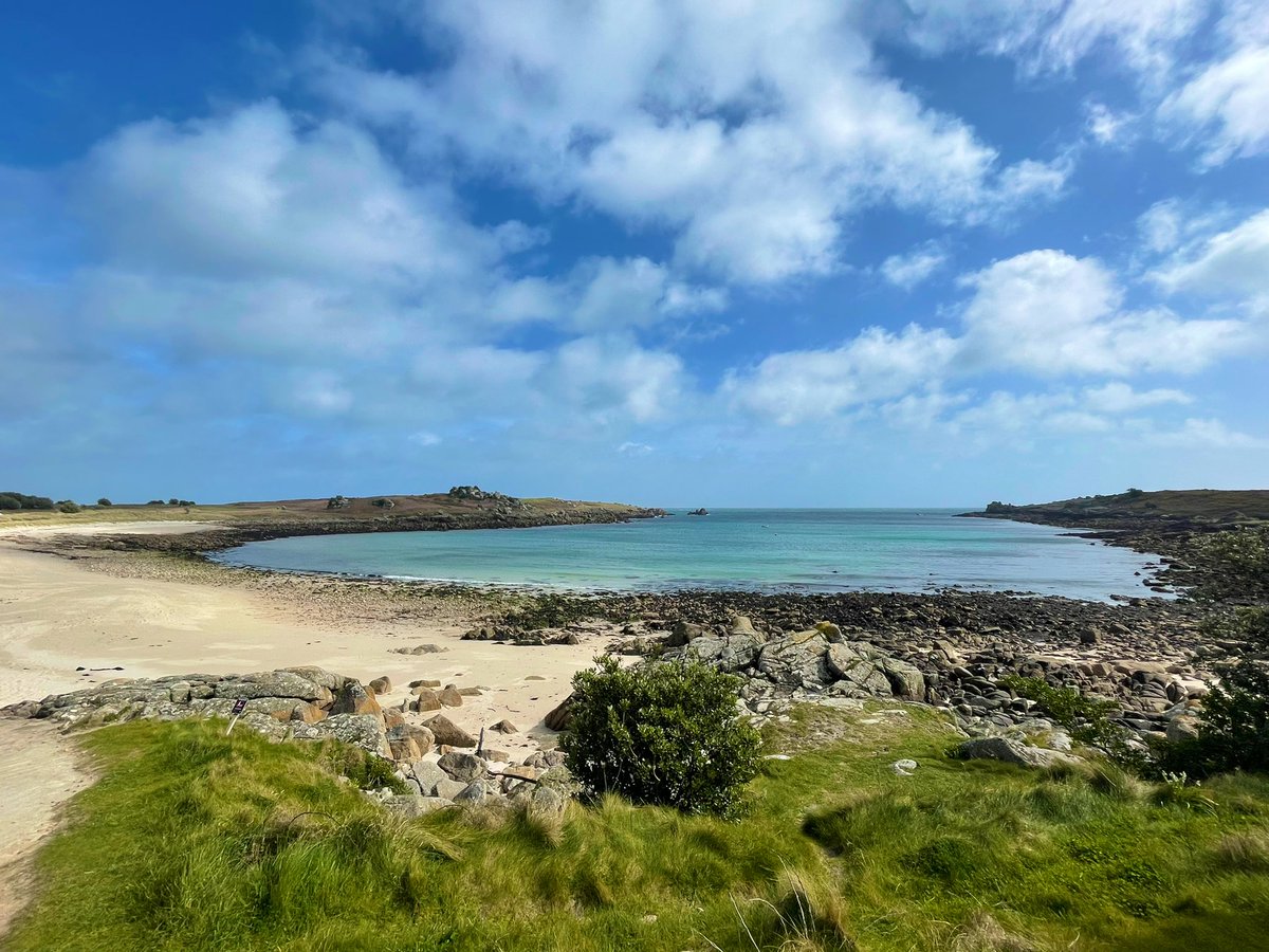 SkyeLi27's tweet photo. Had the most wonderful time camping on St Agnes with my coursemates and lecturers from MVEC course @MarineVertsMSc 😆😆 Got to know the amazing work done by @biosecurityLIFE for seabirds conservation https://t.co/c0MnFR24ir