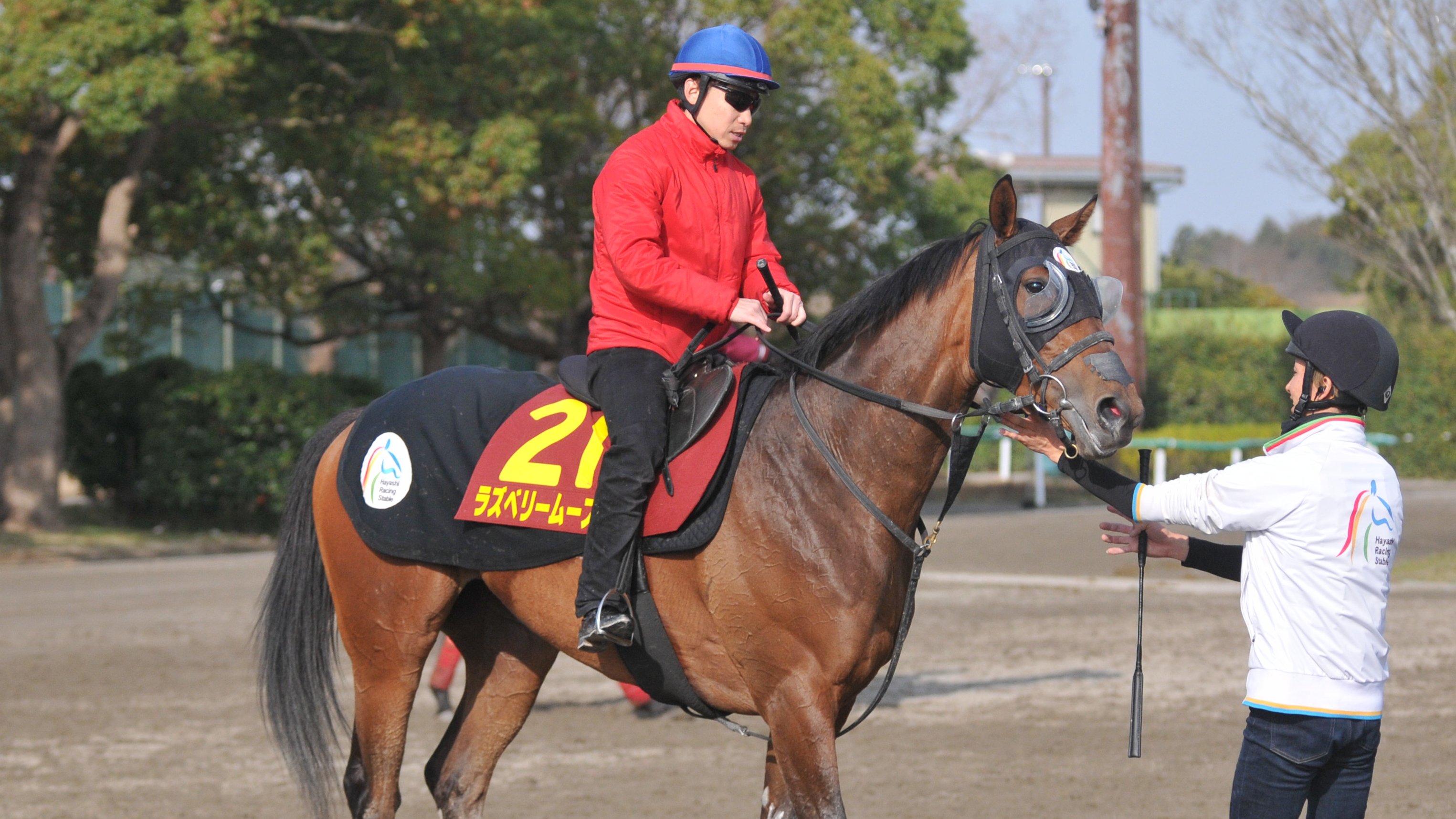 和田稔夫 Toshio Wada 🏇 週刊Gallop･サンスポ･夕刊フジ on Twitter 
