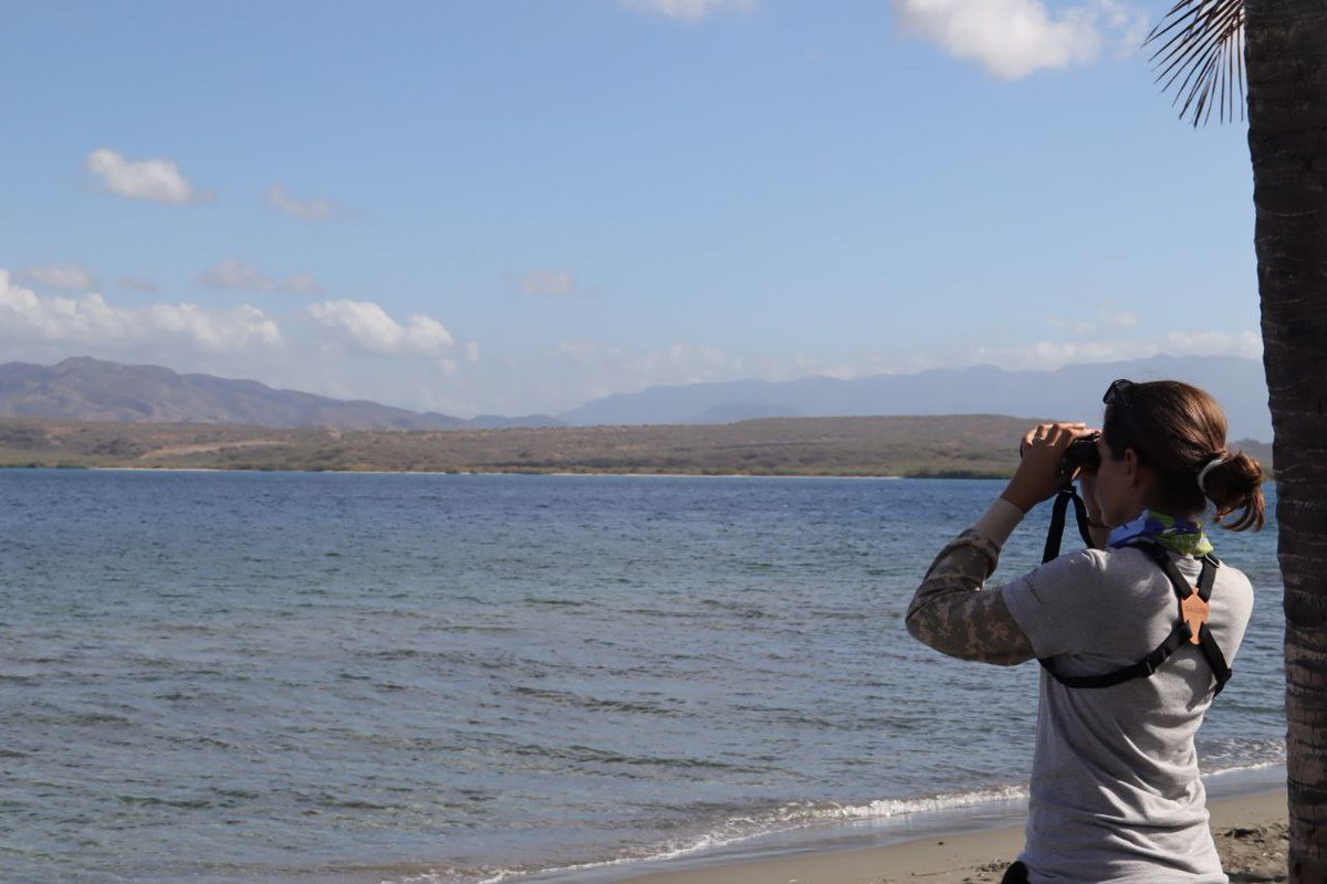 CBCbiodiverso's tweet photo. El monitoreo de #rapaces durante la migración primaveral casi toca su fin, sin embargo aún se realizan actividades de conteo.
Hoy desde las dunas de Baní y Pedernales se buscan ejemplares que retornan a Norteamérica.

#avesmigratorias #migratorybirds https://t.co/eIkCSvSpGw