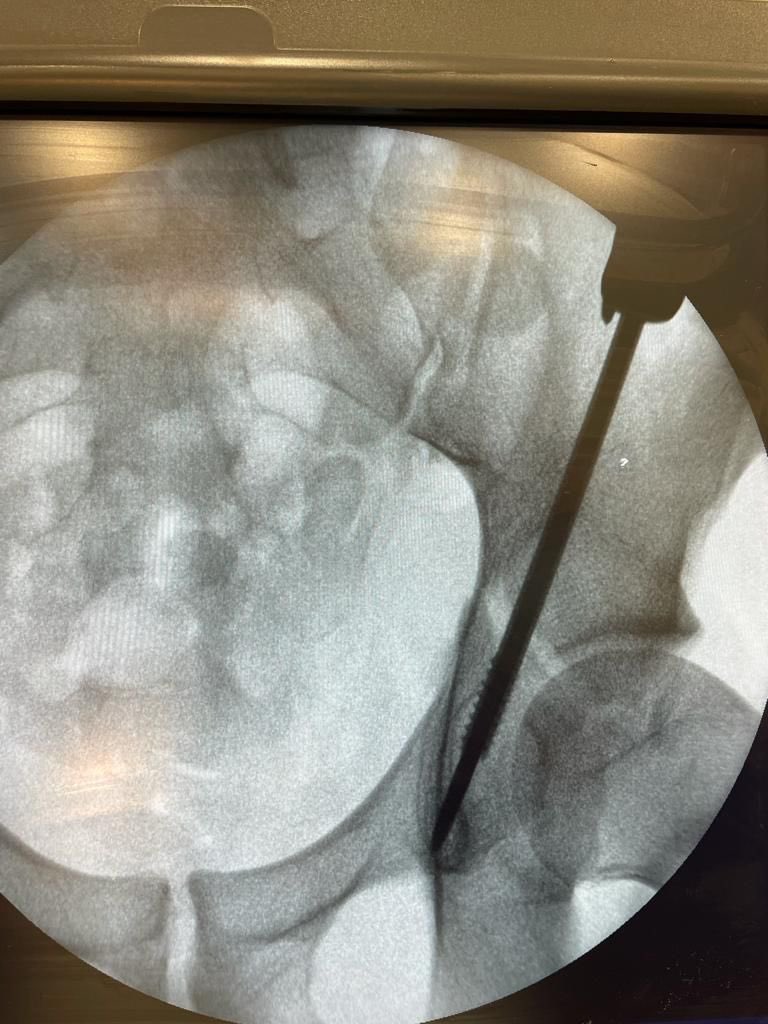 Womcot Spain tweet media