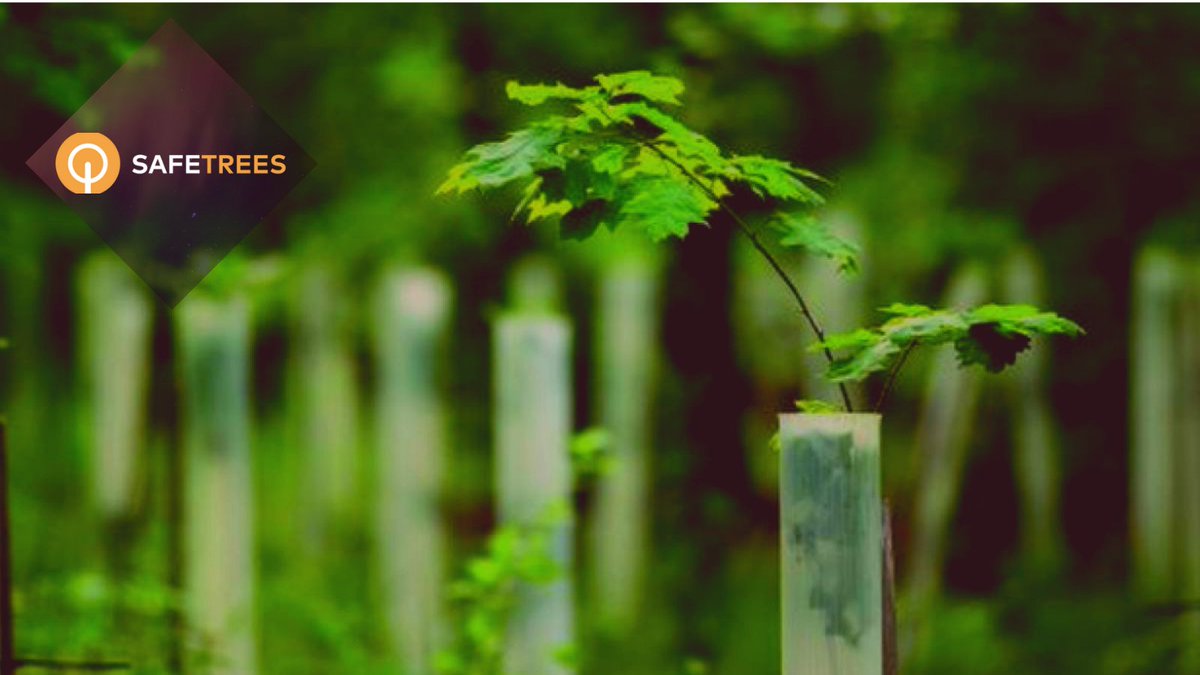 Trees_token's tweet photo. Each tree captured by the TreesApp is authentic and verifiable, so buyers can always trace each individual tree they want to adopt.
Learn more: https://t.co/sXmWd14VUF
#ClimateCrisis #ClimateActionNow #Trees2Gate #SAFETREES #TreesArmy https://t.co/oSNiu1R6p9