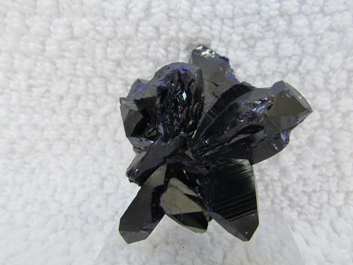 Bisbeeborn1's tweet photo. Mineral Of The Day
We are featuring a beautiful azurite today from Milpillas, Mexico with crystals up to 3 cm.
6 x 4.5 x 3 cm
https://t.co/xSqJQoPjBi
#mineralspecimens #mineralcollecting #azurite #crystals #Milpillas #Mexicominerals #collectables #fineminerals https://t.co/Pn9Cv4lLF6