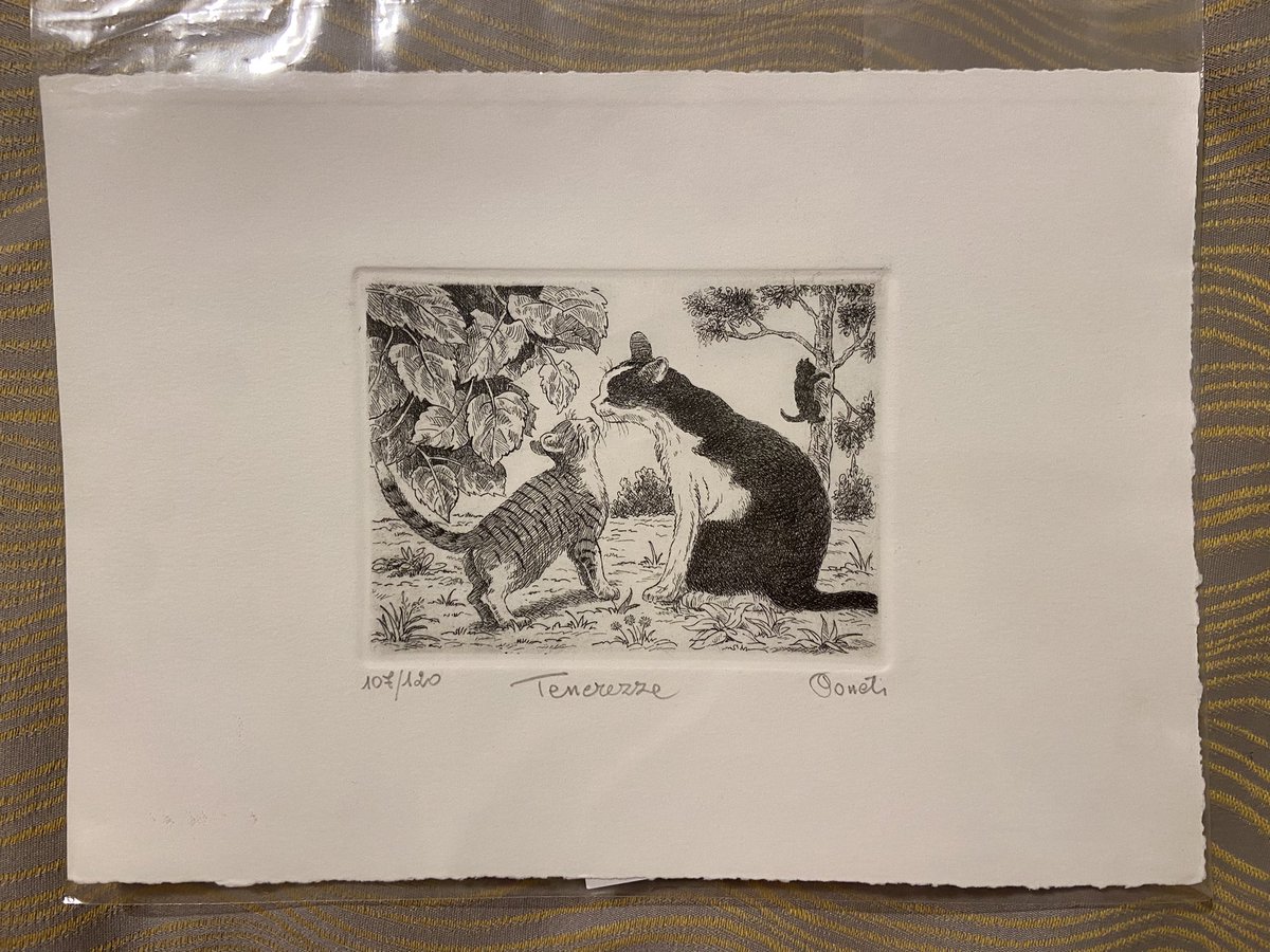 Spent something like 63 euros on this hand-printed etching

BUT THE SEROTONIN CAME FREE