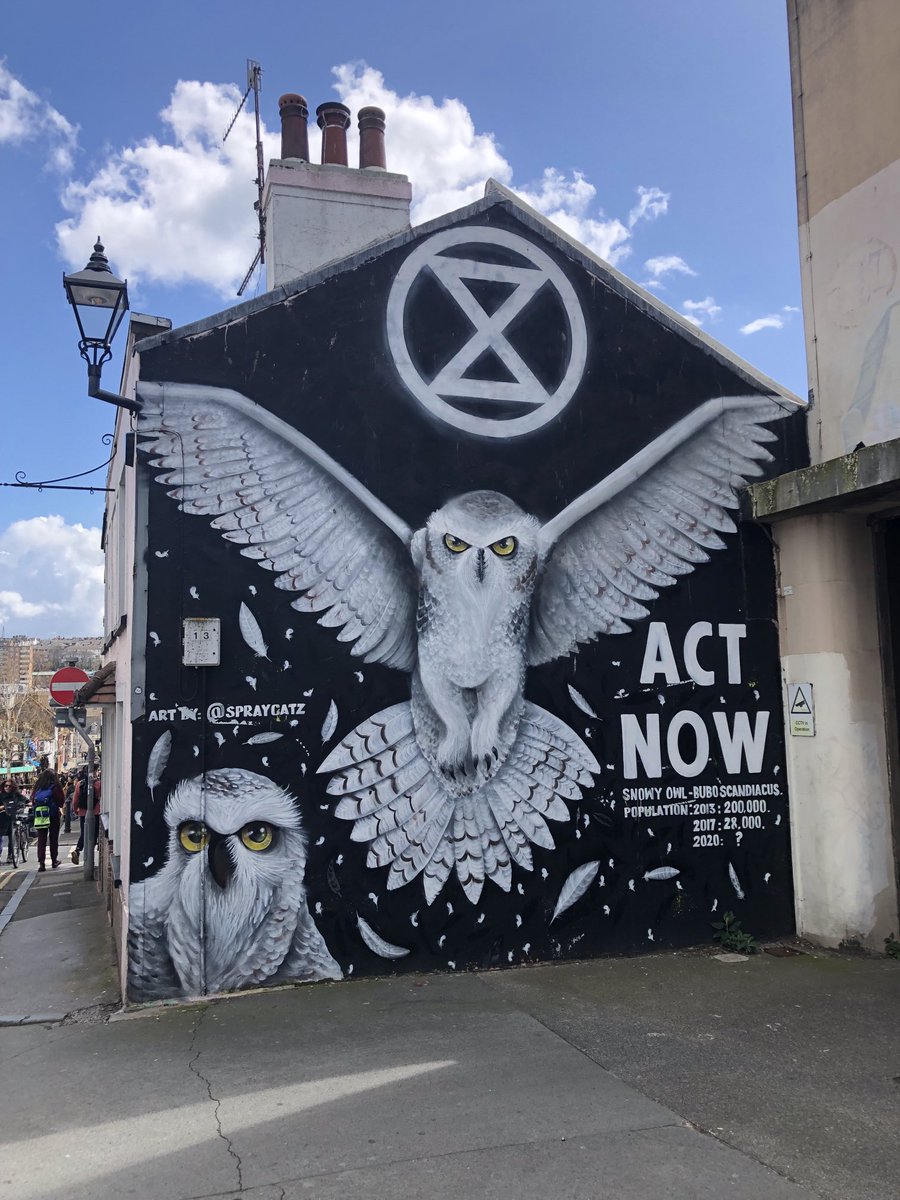 muir_christine's tweet photo. Sending some more top #NewReleases flying thro the air Sunday ⁦@SusyRadio⁩ 103.4fm 10am-11 from #Avalyn ⁦@Palebluemoon666⁩  &amp; ⁦@WAXXBAND⁩ pic taken today on a Sunny trip to good old #Brighton #Sussex 😎 https://t.co/a19l2pZoKq