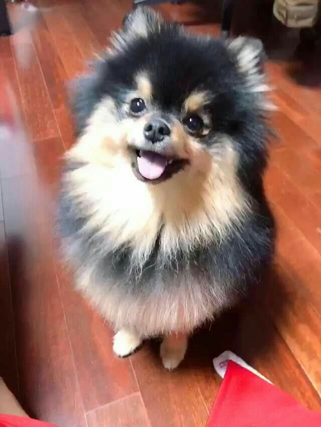 yeontan_b0t tweet picture