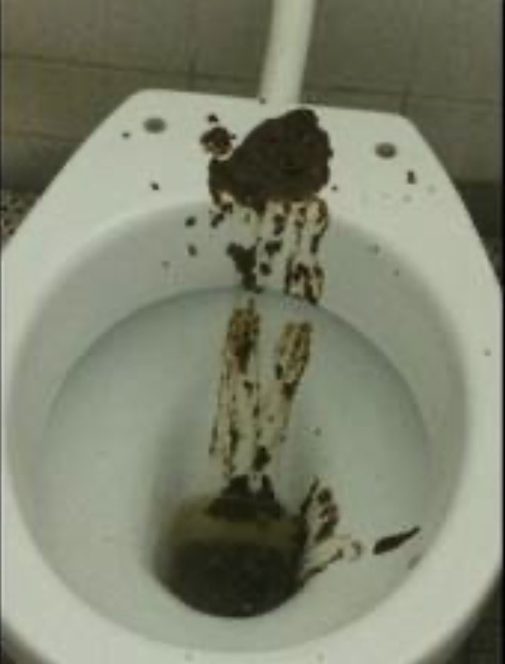 HelloDylan3's tweet photo. @Inoxtag « ca va mes toilettes son propre » https://t.co/coBhCG4InS