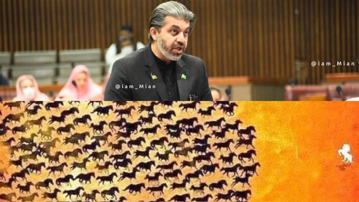 Iam_Mian's tweet photo. Hats off to Ali Muhammad Khan ❤️
The whole assembly on one side &amp; alone Ali Muhammad on the other side 💯
What a speech in the #NationalAssembly https://t.co/AMXxFVhO6X