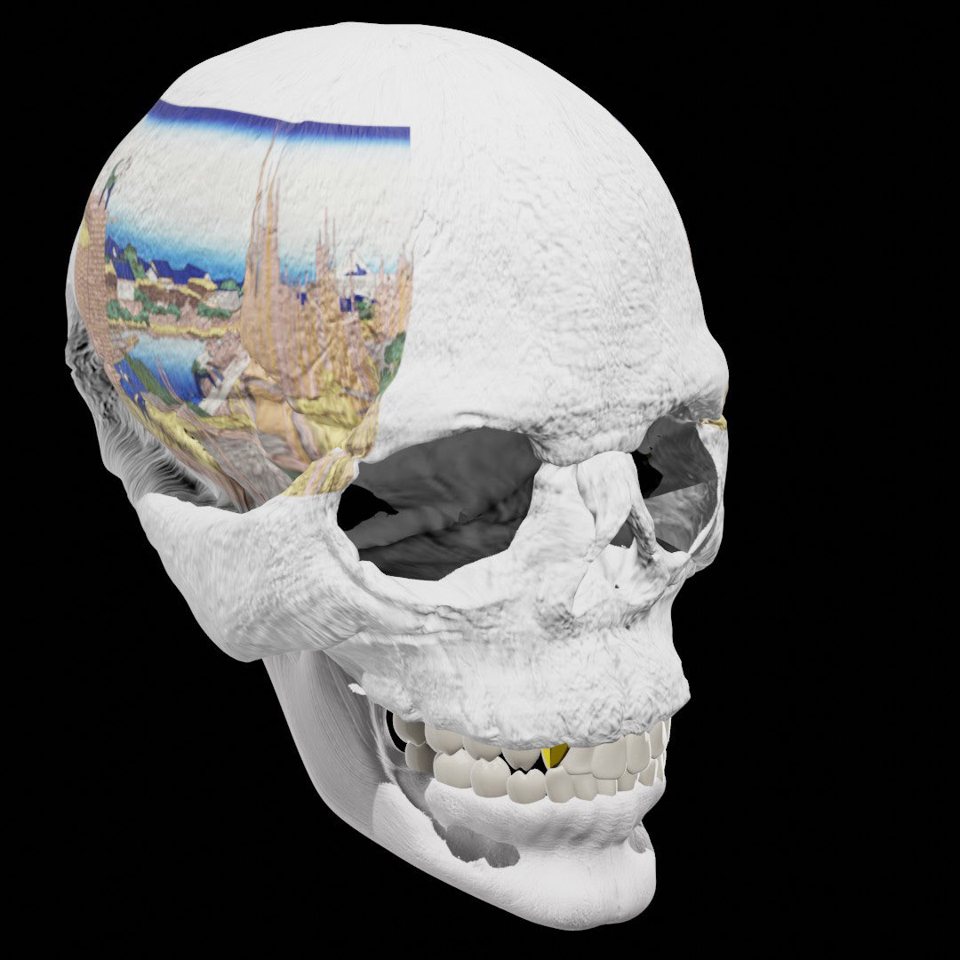 富嶽三十六景🗻　〇/46
Ukiyo-e skull made for profile picture. #NFT #opensea 

opensea.io/assets/0x495f9…