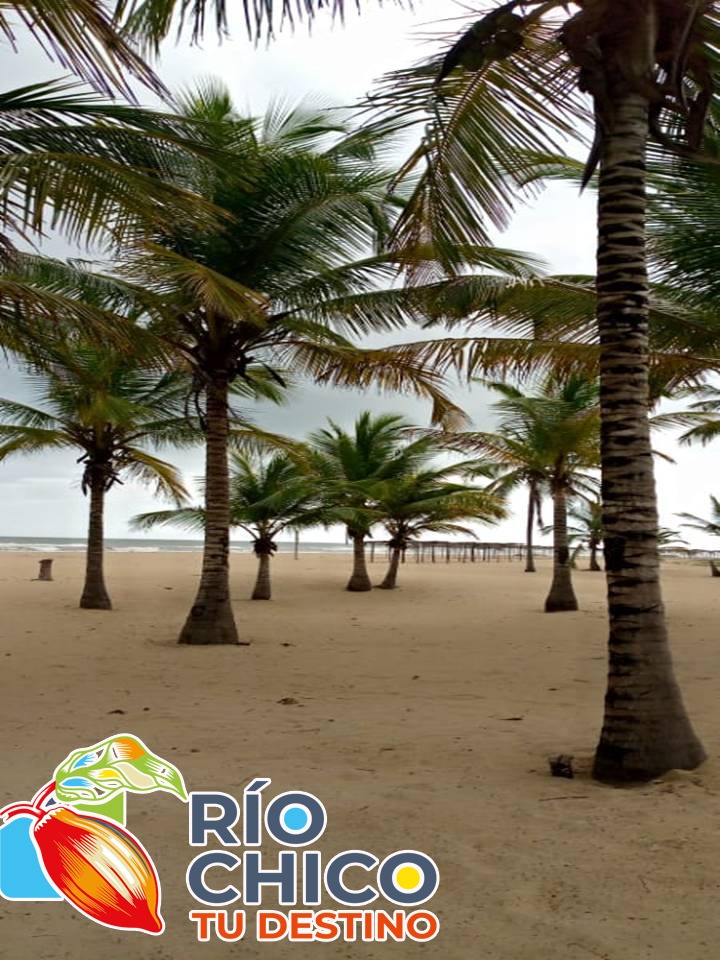 Alc_RioChico's tweet photo. Alcalde Jesús Agustín Monterola te invita a disfrutar de Nuestra Gastronomía, atractivos Turísticos, Ríos y Playas en esta Semana Santa Segura 2022. 

Ven y disfruta del Calor y la excelente Atención de Nuestra Gente.☀️🏖️🌄🌅

#TurismoEnPaez
#RíoChicoTuDestino
@NicolasMaduro https://t.co/DSMHp0aWo1
